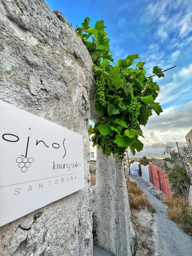 Oinos Luxury Suites Foinikiá Exteriér fotografie